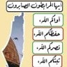 عقبة زروق 的头像