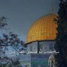 جمال عبدالله الرئيسي 的头像