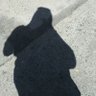 BLESSING's profile picture