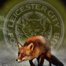 Lee's profile picture