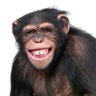 Profilbild von le panga