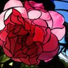 Фото профиля Mary J Harper
