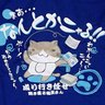 Profilbild von 通称「TAXi。」さんって呼ばれてる人