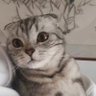 Profilbild von 3750429744