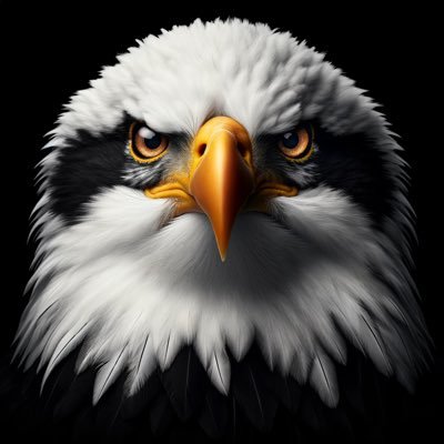 winkle.'s profile picture