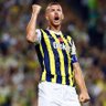 Dikkat EDİN DZEKO Sîkebilir 💛(FENERBAHÇE)💙 🐐's profile picture