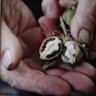 LifeandInspirations's profile picture