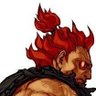 Profilbild von XGO