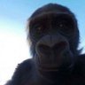 Franklin's profile picture