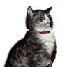 Profilbild von Max
