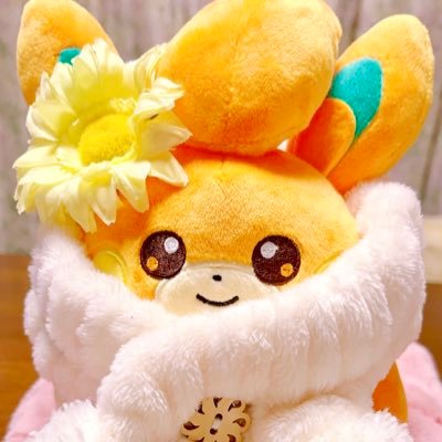 のこ's profile picture