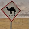 ى ى ى 的头像