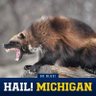 phil gram's profile picture