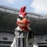 Galo de Direita 的头像