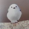 Profilbild von 北の母