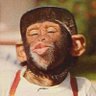 Nes84 profil fotoğrafı