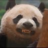 Profilbild von Dem0ns