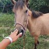 Фото профиля คนเดินดิน