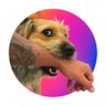 Profilbild von Bigote Attack