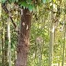 Фото профиля クレアママです