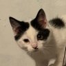 everchant profil fotoğrafı