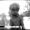 The Saucer Also Rises's profile picture