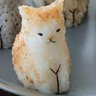 猫猫肉松（诗夺舍版）'s profile picture