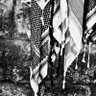 Mack Darwish profil fotoğrafı