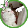 ちょこ 的头像
