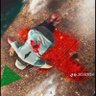 Profilbild von نوفيل