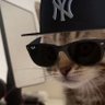 irl.PCHRP's profile picture