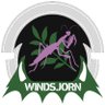 Windsjorn 的头像