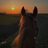 إبراهيم عبدالله's profile picture