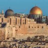 Фото профиля أيمن الغيثي