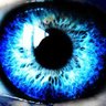 Harmless Myocarditis's profile picture