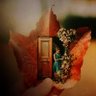 L. L's profile picture
