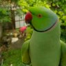 Surya's profile picture