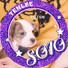 tinyเธฅเน ๐๐๐ญ๐ฌยฒ's profile picture