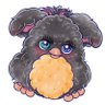 たぬきゅん's profile picture