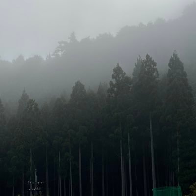 shu's profile picture
