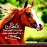Фото профиля أبو رائد العاطفي