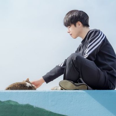 nekoy_g's profile picture