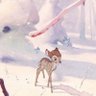 ‎رحمة 🍉 🌺 IS ON HIATUS's profile picture