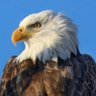 Patriot1776™'s profile picture