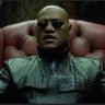morpheus 的头像