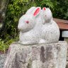 Profilbild von ピーターらぶらび