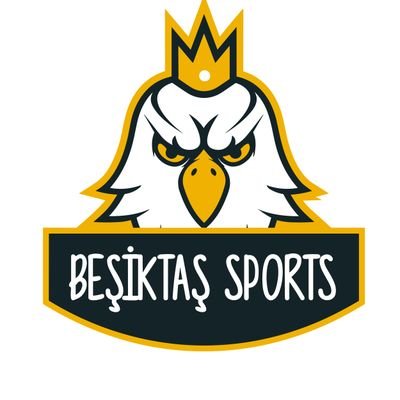 Beşiktaş Sports's profile picture
