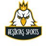 Beşiktaş Sports's profile picture