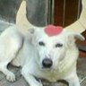 Boi Garantide profil fotoğrafı