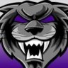 Wildcat Victory 🌾's profile picture